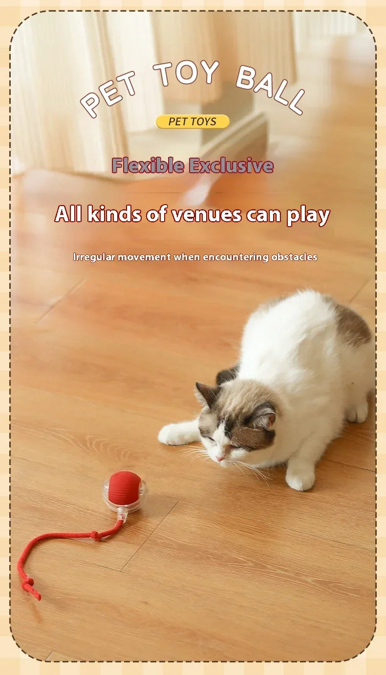 Smart Rolling Cat Toy – Auto Teasing Ball