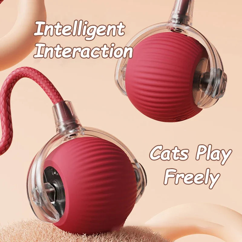 Smart Rolling Cat Toy – Auto Teasing Ball