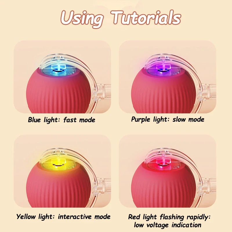 Smart Rolling Cat Toy – Auto Teasing Ball