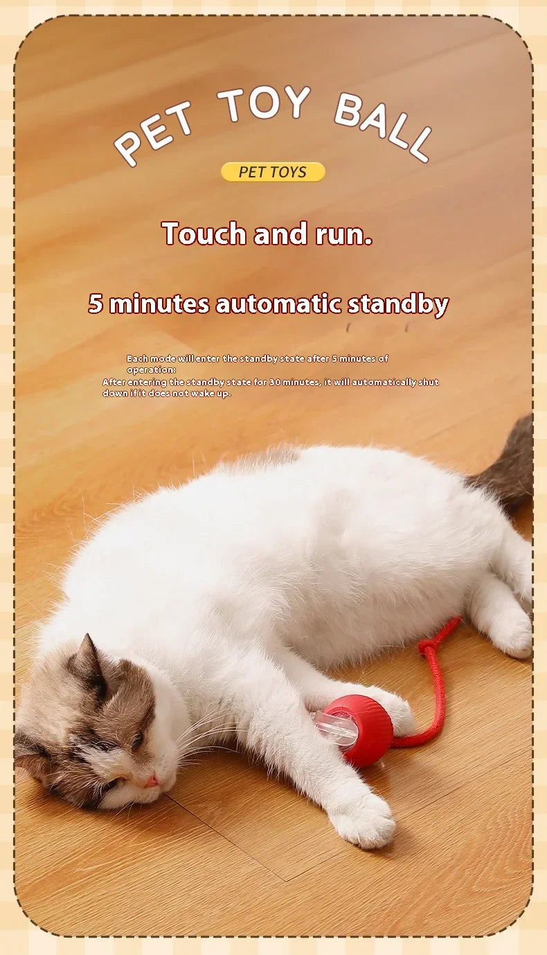Smart Rolling Cat Toy – Auto Teasing Ball