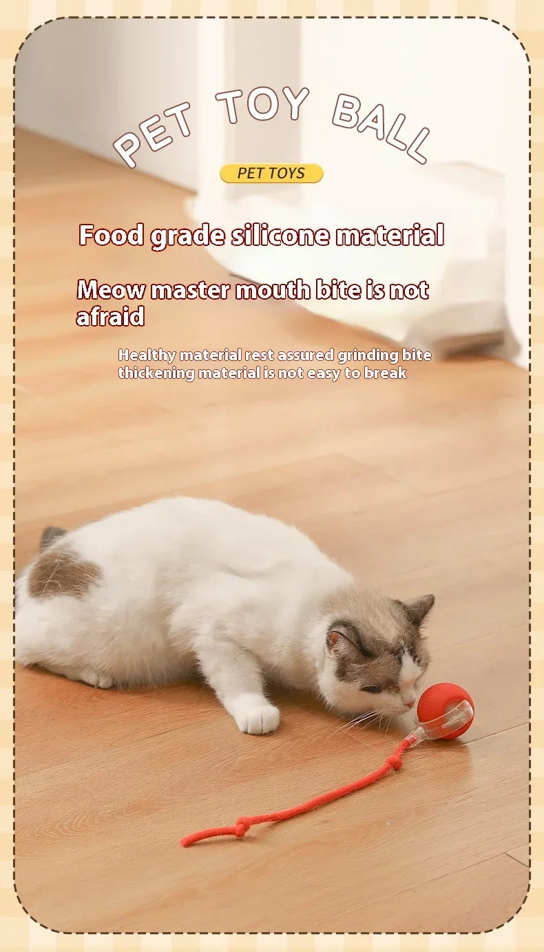 Smart Rolling Cat Toy – Auto Teasing Ball