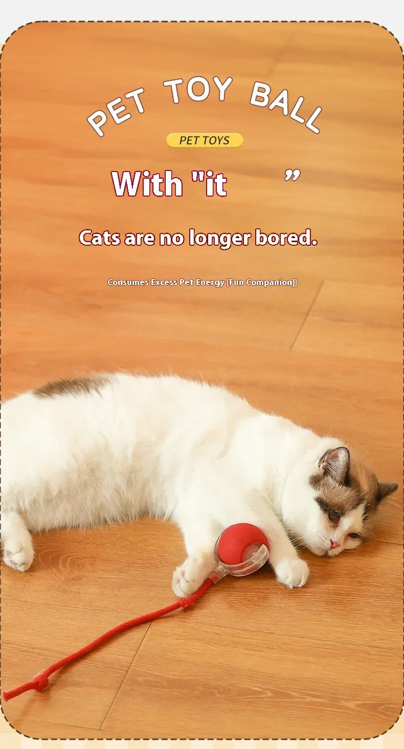 Smart Rolling Cat Toy – Auto Teasing Ball