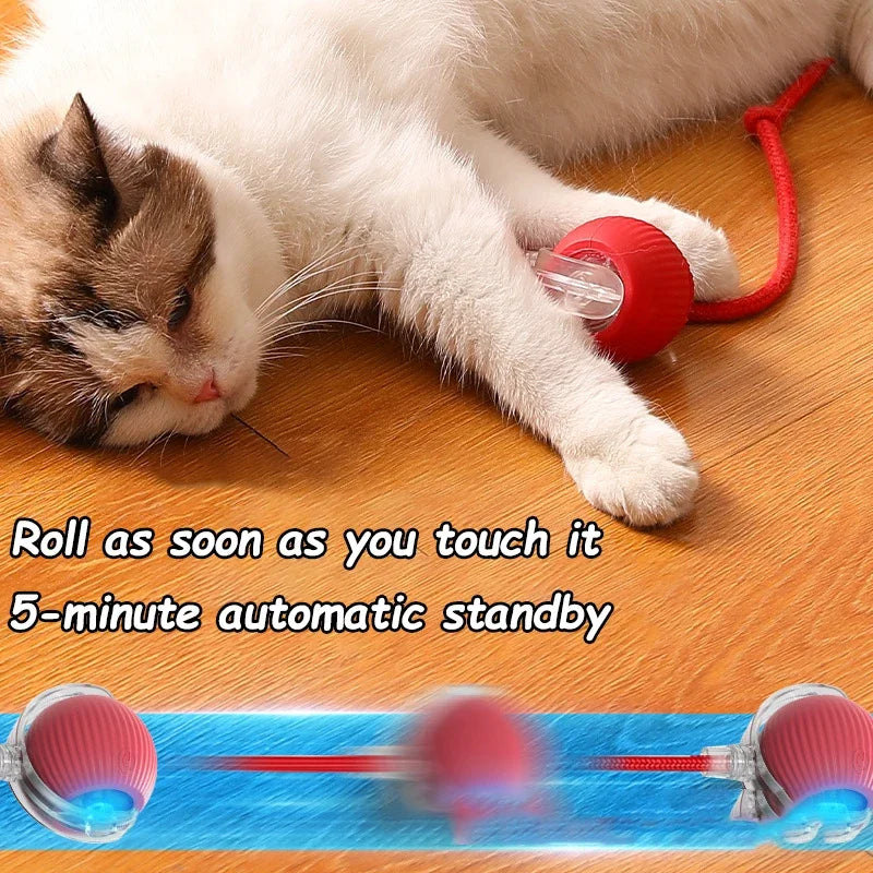 Smart Rolling Cat Toy – Auto Teasing Ball
