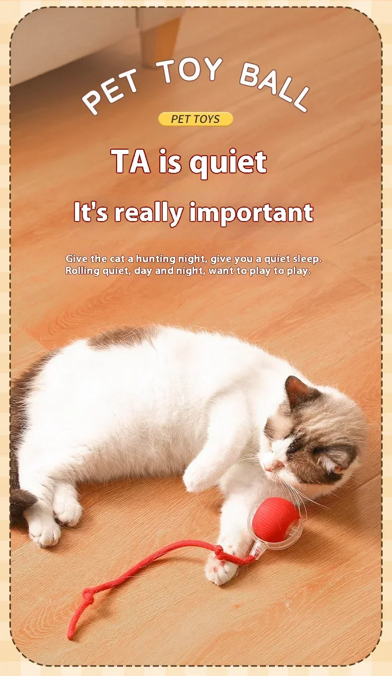 Smart Rolling Cat Toy – Auto Teasing Ball