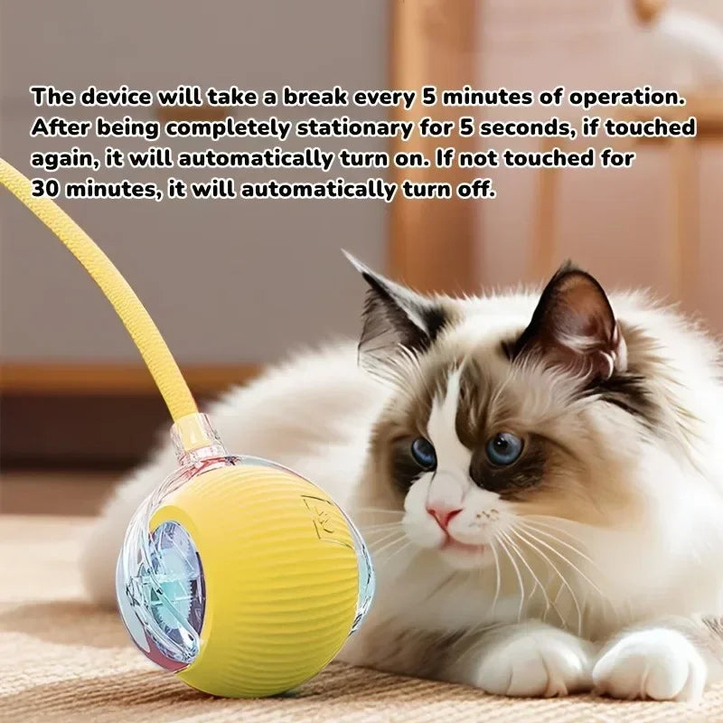 Smart Rolling Cat Toy – Auto Teasing Ball